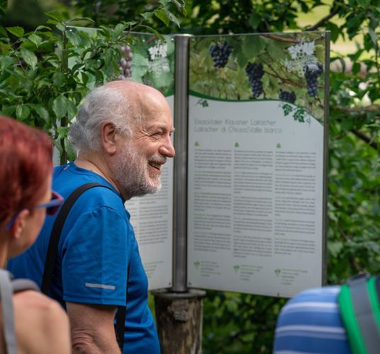 klausen-wein-weinwanderweg_santifaller[5]